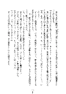 誘惑プリンセスはおキライですか？, 日本語