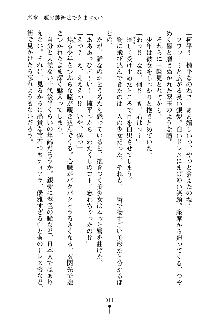 誘惑プリンセスはおキライですか？, 日本語