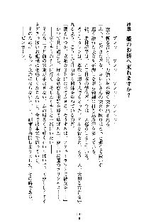 誘惑プリンセスはおキライですか？, 日本語