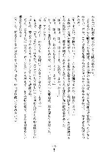 誘惑プリンセスはおキライですか？, 日本語