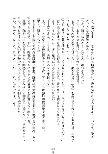 誘惑プリンセスはおキライですか？, 日本語