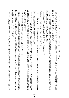 誘惑プリンセスはおキライですか？, 日本語