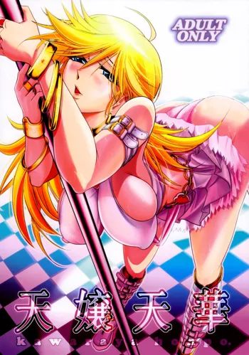 Tenjou Tenge