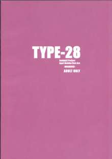 TYPE-28, 日本語