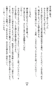 つよきす アナザーストーリー 近衛素奈緒の場合, 日本語