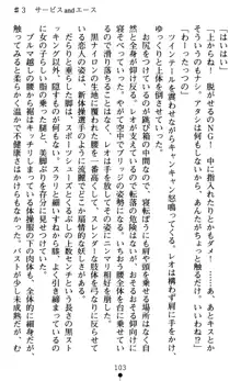 つよきす アナザーストーリー 近衛素奈緒の場合, 日本語