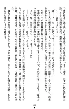 つよきす アナザーストーリー 近衛素奈緒の場合, 日本語