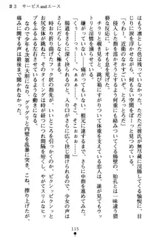 つよきす アナザーストーリー 近衛素奈緒の場合, 日本語