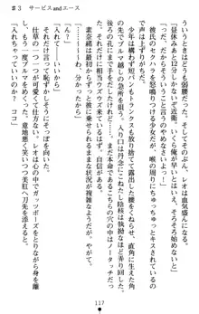 つよきす アナザーストーリー 近衛素奈緒の場合, 日本語