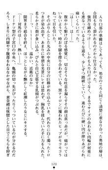 つよきす アナザーストーリー 近衛素奈緒の場合, 日本語