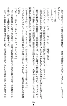 つよきす アナザーストーリー 近衛素奈緒の場合, 日本語