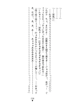 つよきす アナザーストーリー 近衛素奈緒の場合, 日本語