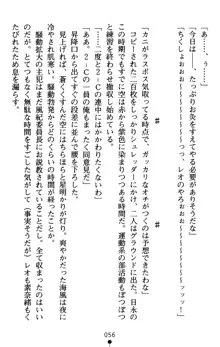 つよきす アナザーストーリー 近衛素奈緒の場合, 日本語