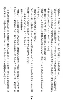 つよきす アナザーストーリー 近衛素奈緒の場合, 日本語