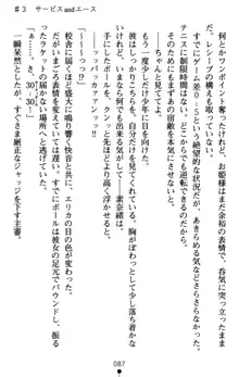 つよきす アナザーストーリー 近衛素奈緒の場合, 日本語