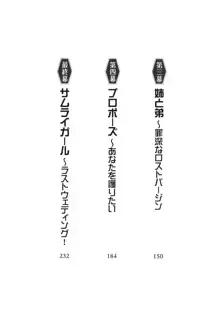 サムライガール～愛しさと切なさと, 日本語