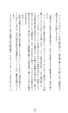 女王汚辱 鬼骨の軍師, 日本語