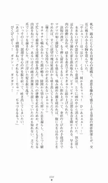 魔法戦士シンフォニックナイツ, 日本語