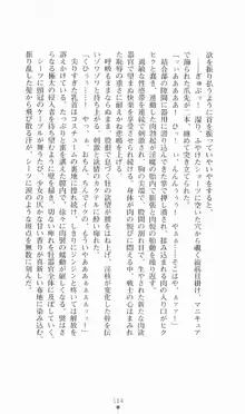 魔法戦士シンフォニックナイツ, 日本語