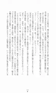 魔法戦士シンフォニックナイツ, 日本語