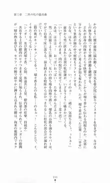 魔法戦士シンフォニックナイツ, 日本語