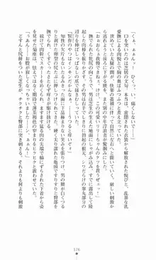 魔法戦士シンフォニックナイツ, 日本語