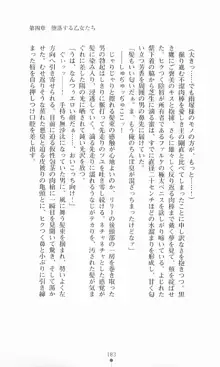 魔法戦士シンフォニックナイツ, 日本語