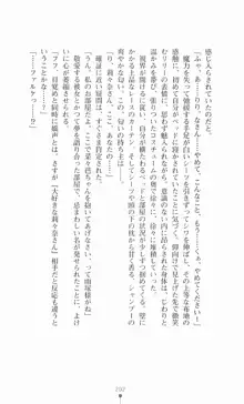 魔法戦士シンフォニックナイツ, 日本語