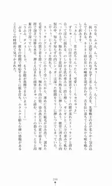 魔法戦士シンフォニックナイツ, 日本語