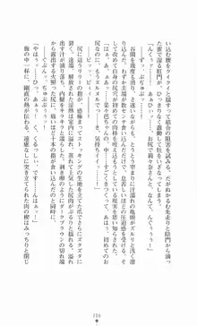 魔法戦士シンフォニックナイツ, 日本語