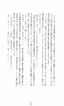 魔法戦士シンフォニックナイツ, 日本語