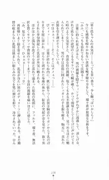 魔法戦士シンフォニックナイツ, 日本語