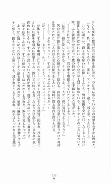 魔法戦士シンフォニックナイツ, 日本語