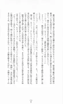 魔法戦士シンフォニックナイツ, 日本語