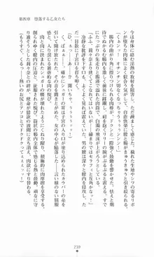 魔法戦士シンフォニックナイツ, 日本語