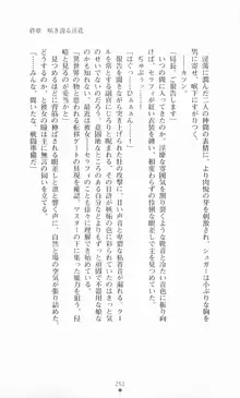 魔法戦士シンフォニックナイツ, 日本語