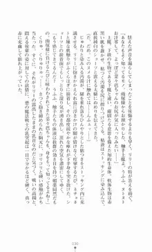 魔法戦士シンフォニックナイツ, 日本語