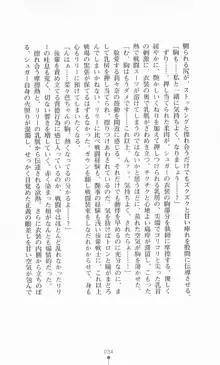 魔法戦士シンフォニックナイツ, 日本語