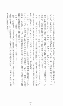 魔法戦士シンフォニックナイツ, 日本語