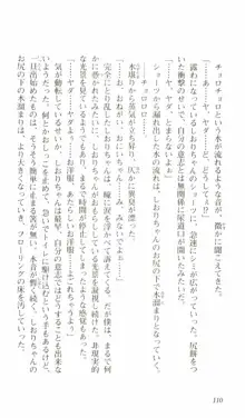 はじめてのおるすばん, 日本語