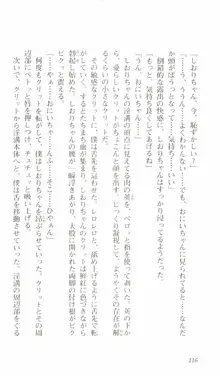 はじめてのおるすばん, 日本語