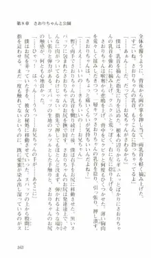 はじめてのおるすばん, 日本語