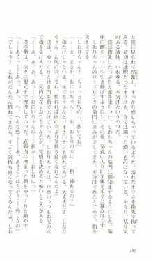 はじめてのおるすばん, 日本語