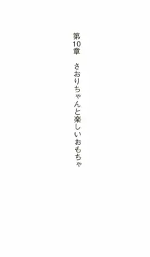 はじめてのおるすばん, 日本語