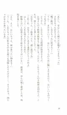 はじめてのおるすばん, 日本語