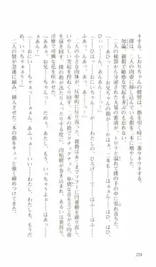 はじめてのおるすばん, 日本語