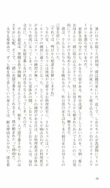 はじめてのおるすばん, 日本語