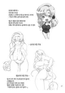 Sukumizu Sentai Bikininger2, 한국어