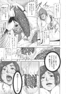 淑女はおち×ちん不足, 日本語