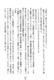 くノ一夜伽話 この印籠が目に入らぬか？, 日本語